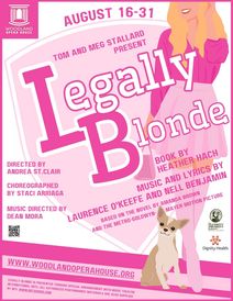 Legally Blonde the Musical