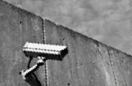 Dog Park show poster