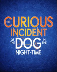 THE CURIOUS INCIDENT OF THE DOG IN THE NIGHT-TIME show poster