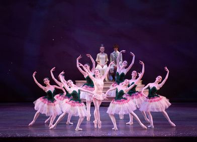 The Nutcracker show poster