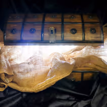 CCM Musical: The Lightning Thief: Percy Jackson Musical