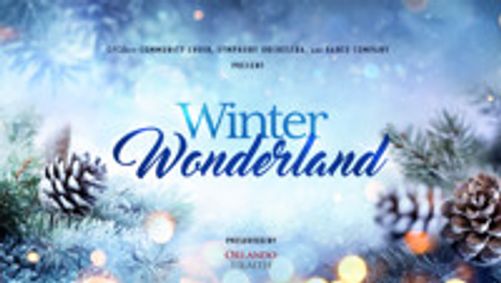 Winter Wonderland show poster