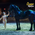 Cirque Ma'Ceo - Temecula in Los Angeles