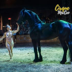 Cirque Ma'Ceo - Temecula show poster