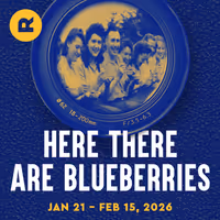 Here There Are Blueberries