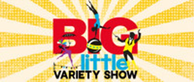 Big Little Variety Show show poster