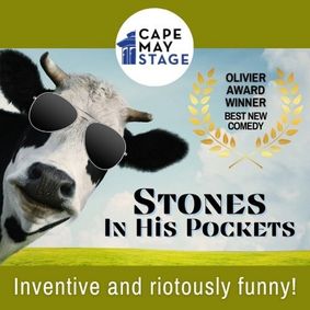 Stones in His Pockets show poster