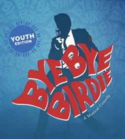 Bye Bye Birdie Y.E. show poster