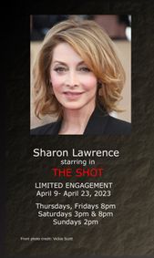 The Shot show poster