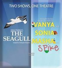 Vanya and Sonia and Masha and Spike