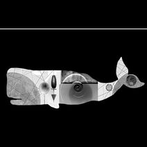 Life With Water: a new exhibition at An Tobar explores our relationship with the sea