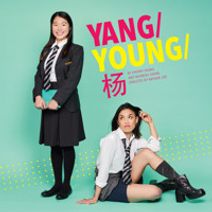 YANG/YOUNG/杨