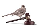 To Kill a Mockingbird in Dallas