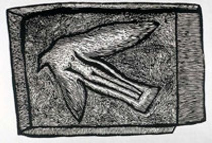 Bird in a Box show poster