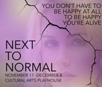 Next to Normal show poster