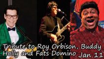 A Tribute to Roy Orbison, Buddy Holly and Fats Domino