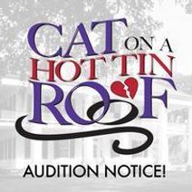 Cat On A Hot Tin Roof