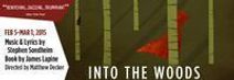 Into the Woods