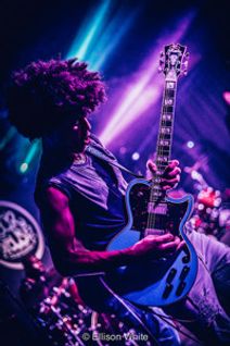 Brandon Taz Niederauer in Concert