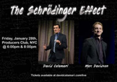 The Schrödinger Effect show poster