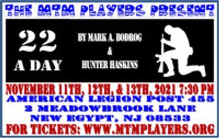 22 A Day show poster