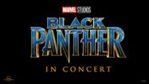 Black Panther in Concert