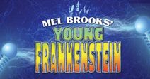 Mel Brooks' Young Frankenstein