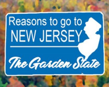 Reasons to Go to New Jersey show poster