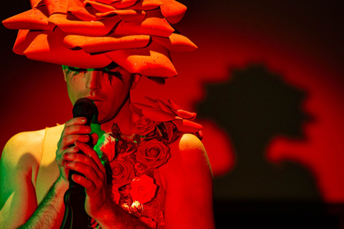 THE MATCHBOX MAGIC FLUTE & More Lead Washington, DC's June 2024 Top Theatre Shows  Image