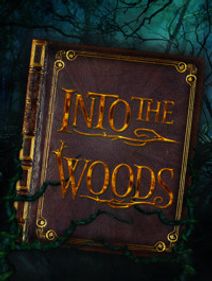 Into the Woods