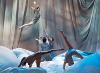 REVERSIBLE show poster