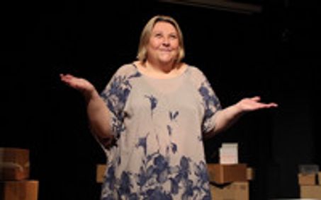 Little Boxes show poster