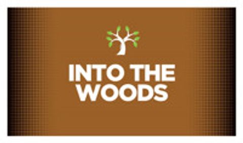 Into the Woods show poster