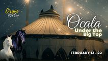 Cirque Ma'Ceo LIVE in Ocala - Feb 13 - 22, 2026
