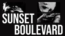 Sunset Boulevard