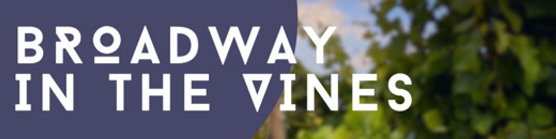 Broadway in the Vines: A Tenth Anniversary Celebration for Live & in Color show poster