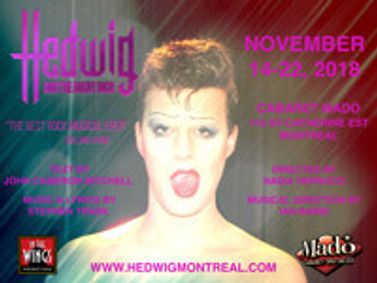 Hedwig and the Angry Inch show poster