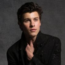Shawn Mendes