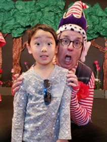 A Faery Hunt The Missing Fairy Light show poster