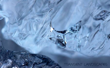 Transient Landscapes show poster