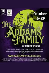 The Addams Family A New Musical show poster