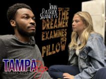 The Dreamer Examines His Pillow