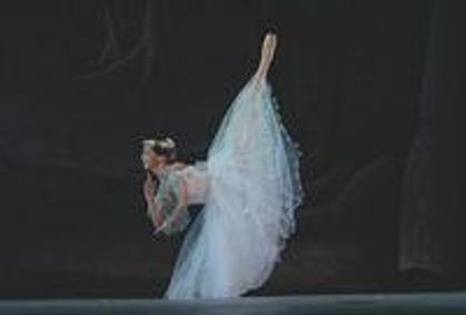 Illuminating Elegance show poster