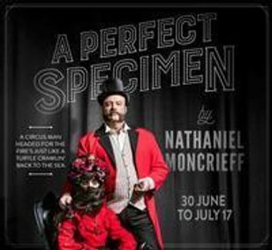 A Perfect Specimen show poster