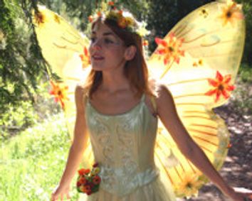 A Faery Hunt Amazing Adventure show poster