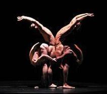 Pilobolus