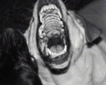 Dixon Place Presents: Chasing Warren Remedy show poster