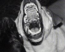 Dixon Place Presents: Chasing Warren Remedy