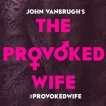 The Provoked Wife