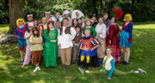 Shrek the Musical show poster